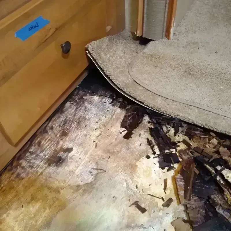 Wood Floor Water Damage in Winner, SD